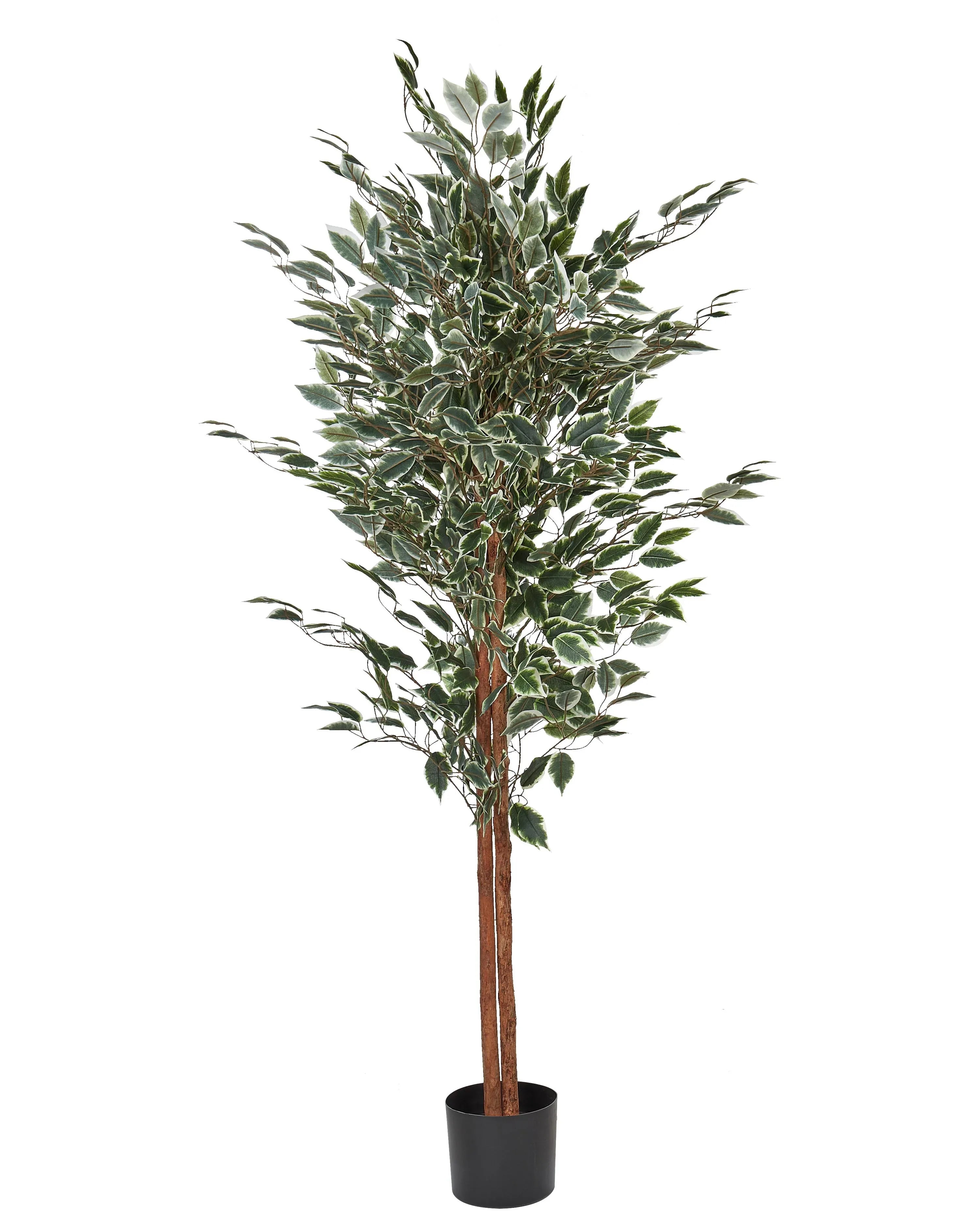 Pianta artificiale FICUS 167 cm Verde