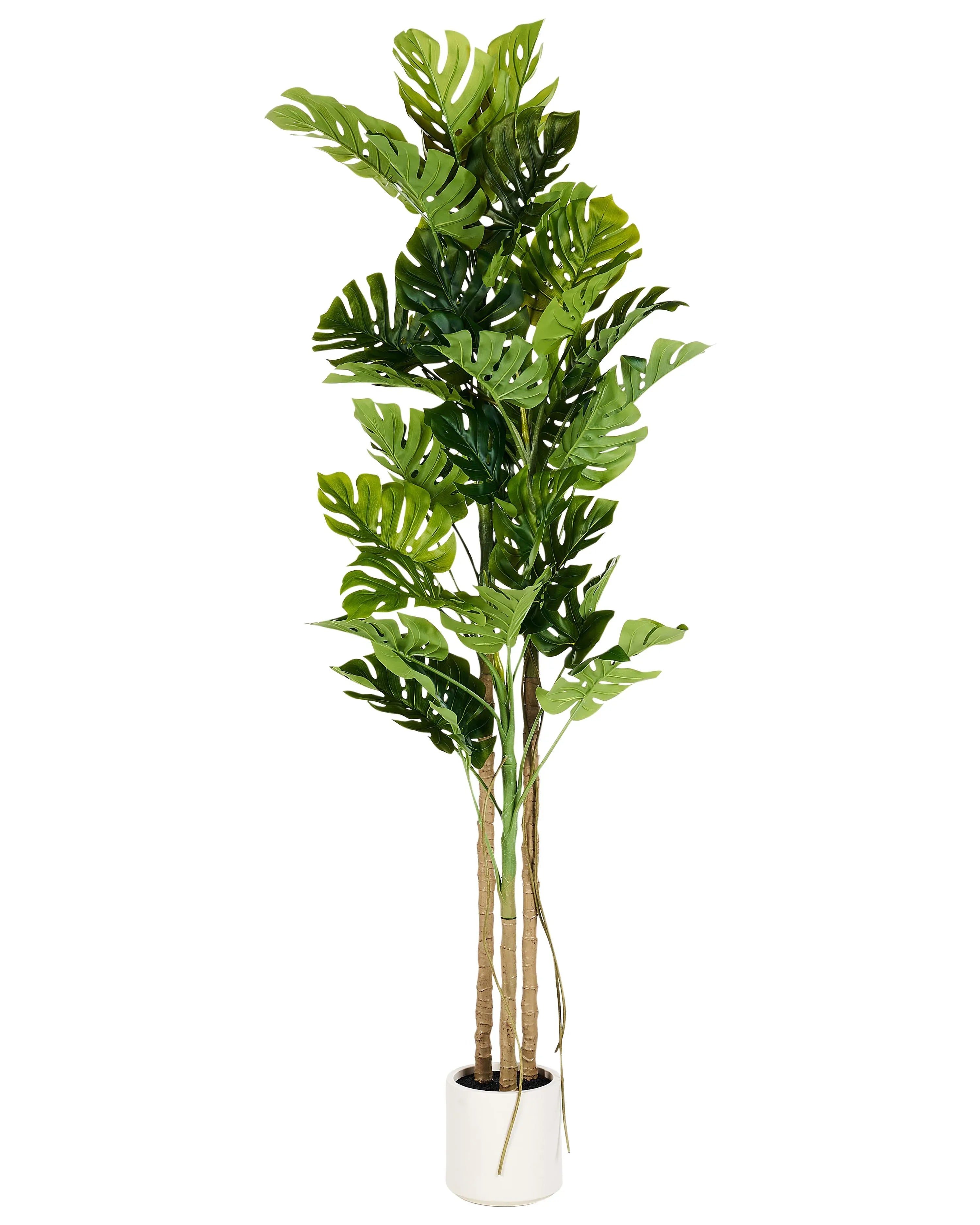 Pianta artificiale MONSTERA PLANT 221 cm Verde