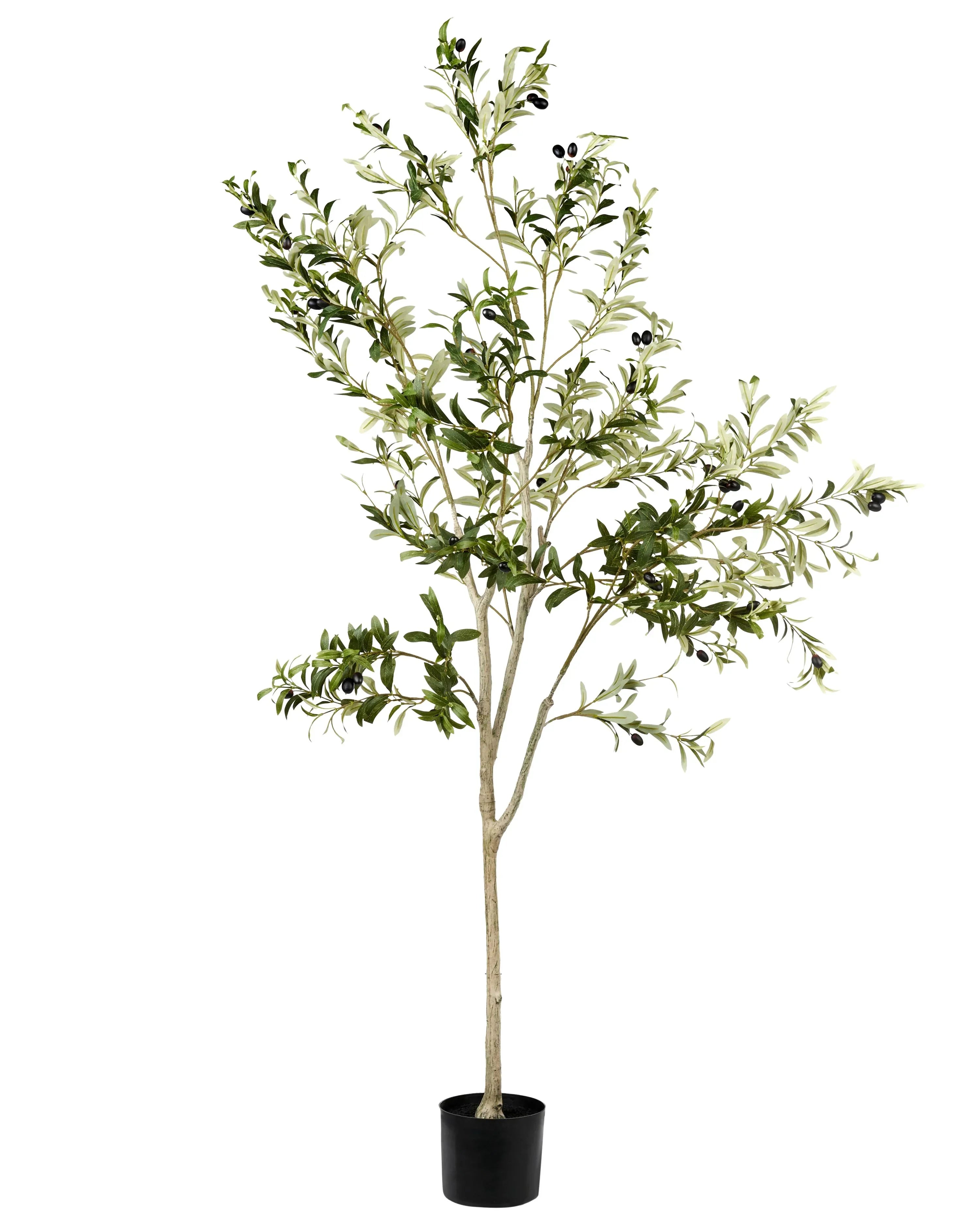 Pianta artificiale OLIVE TREE 178 cm Verde