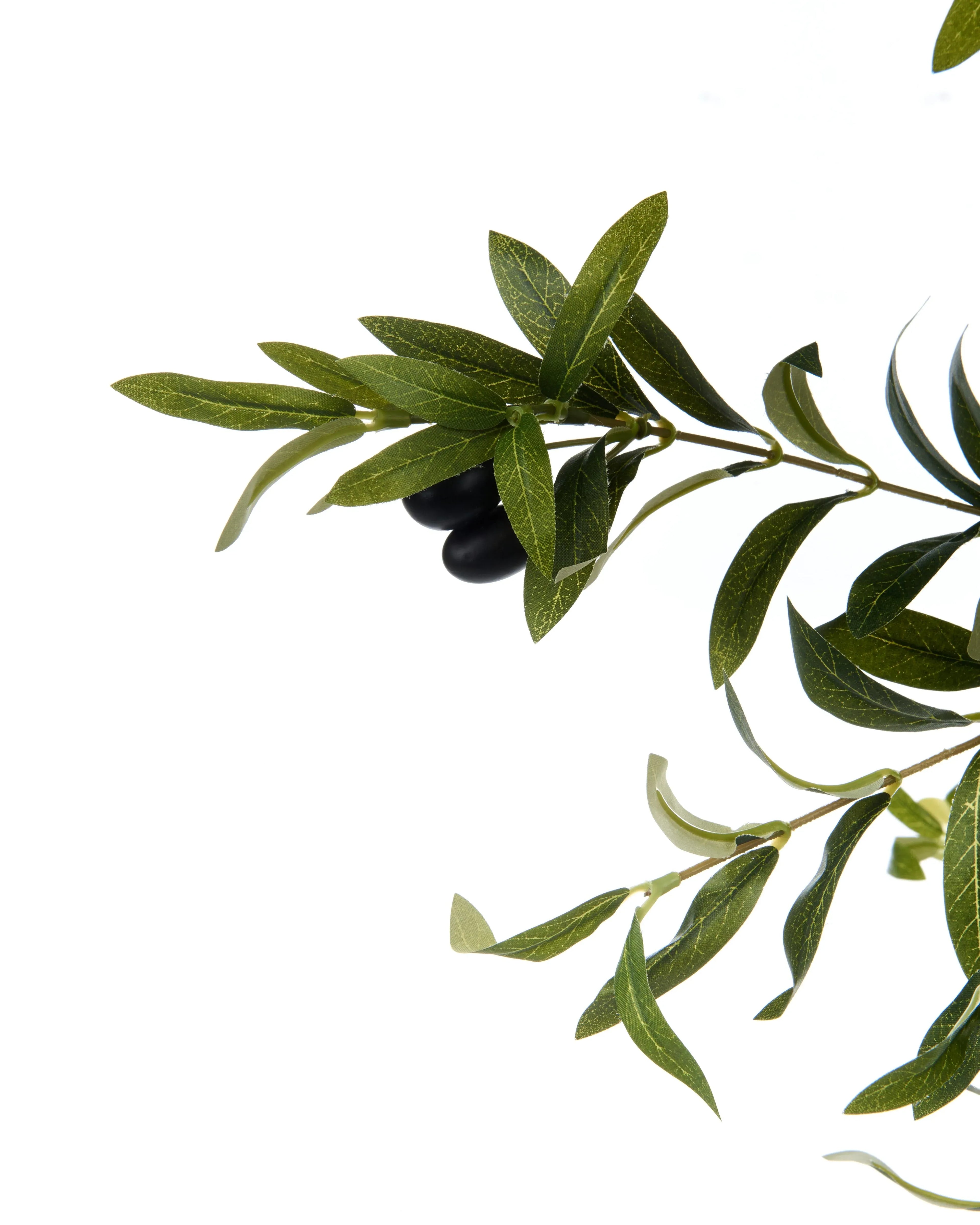 Pianta artificiale OLIVE TREE 178 cm Verde