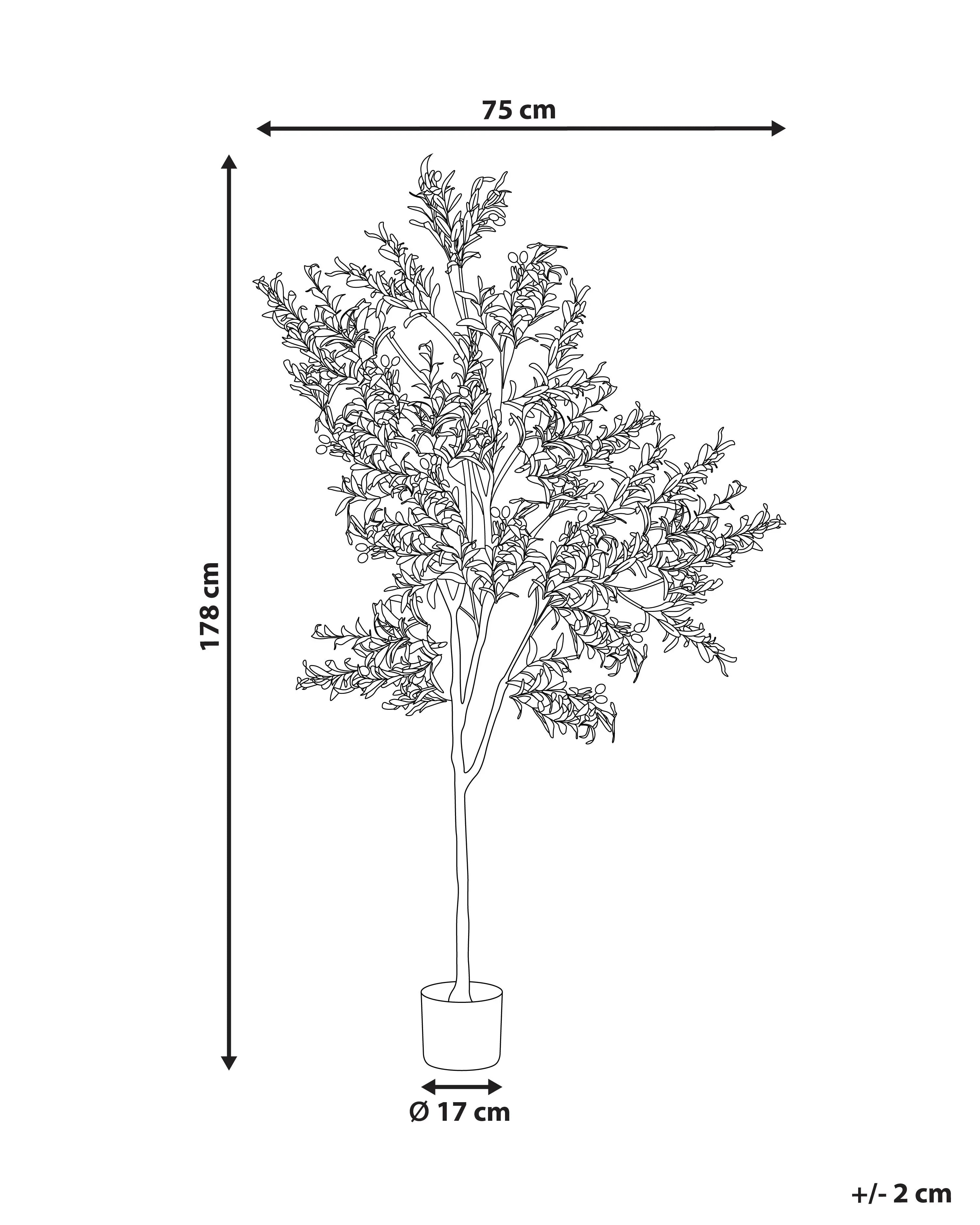 Pianta artificiale OLIVE TREE 178 cm Verde