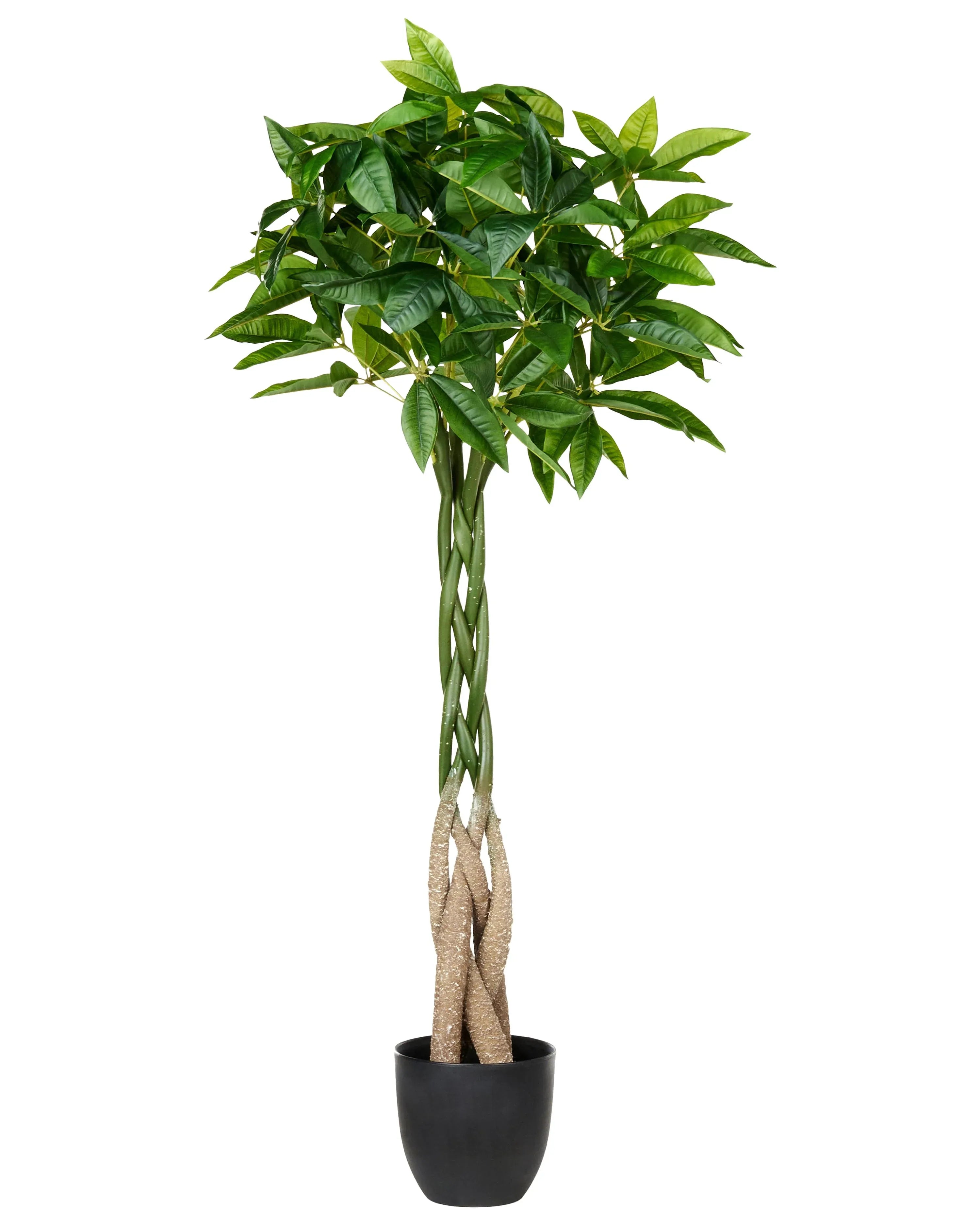 Pianta artificiale PACHIRA TREE 120 cm Verde