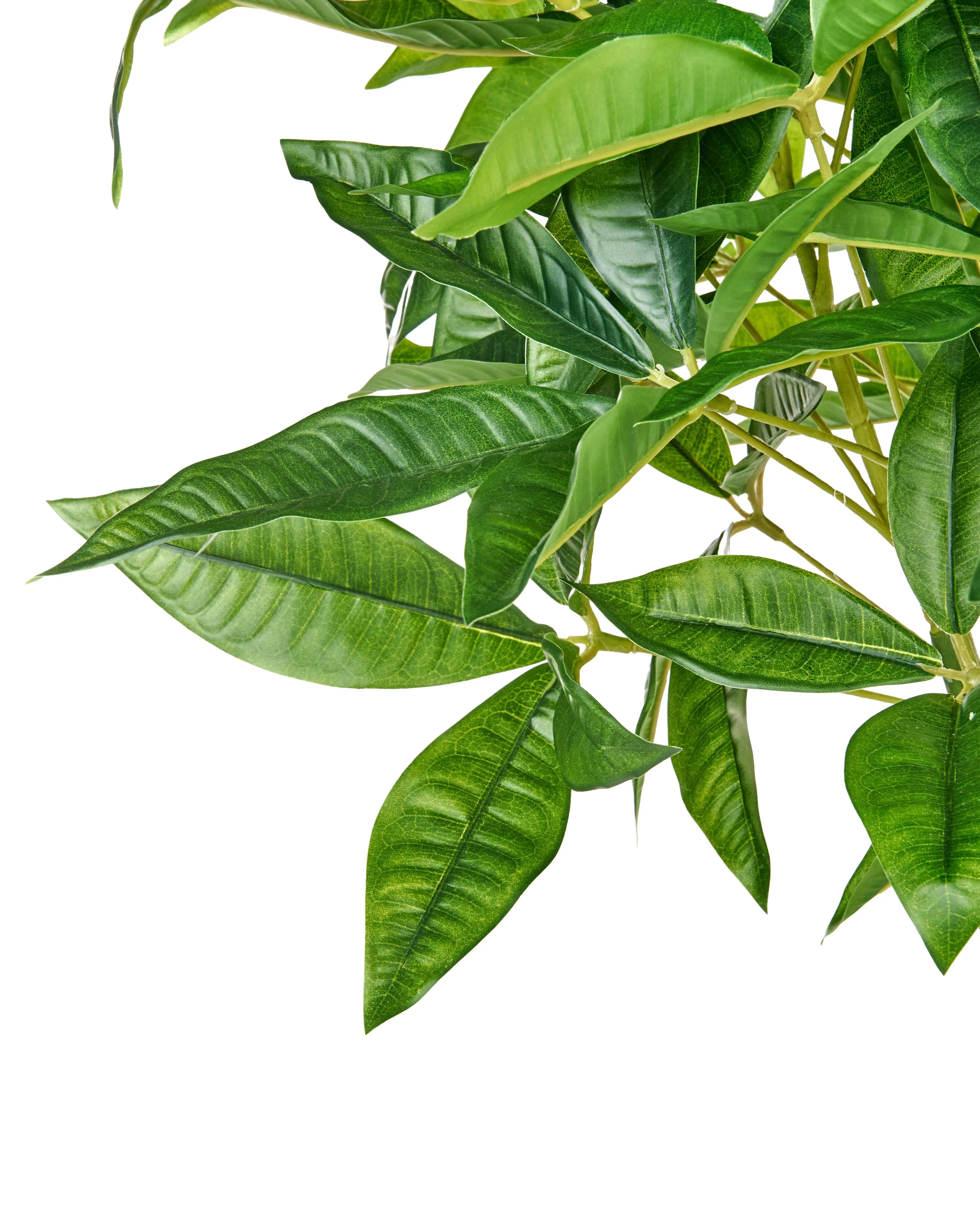 Pianta artificiale PACHIRA TREE 120 cm Verde