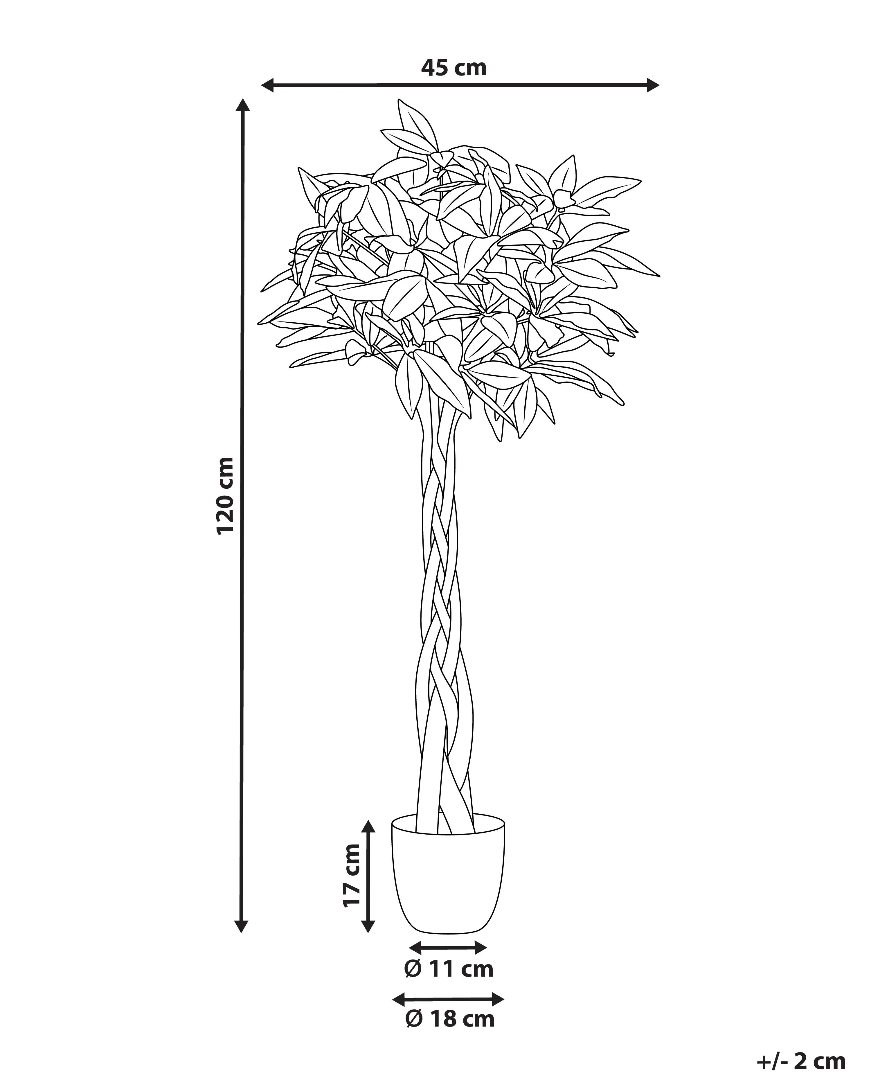 Pianta artificiale PACHIRA TREE 120 cm Verde