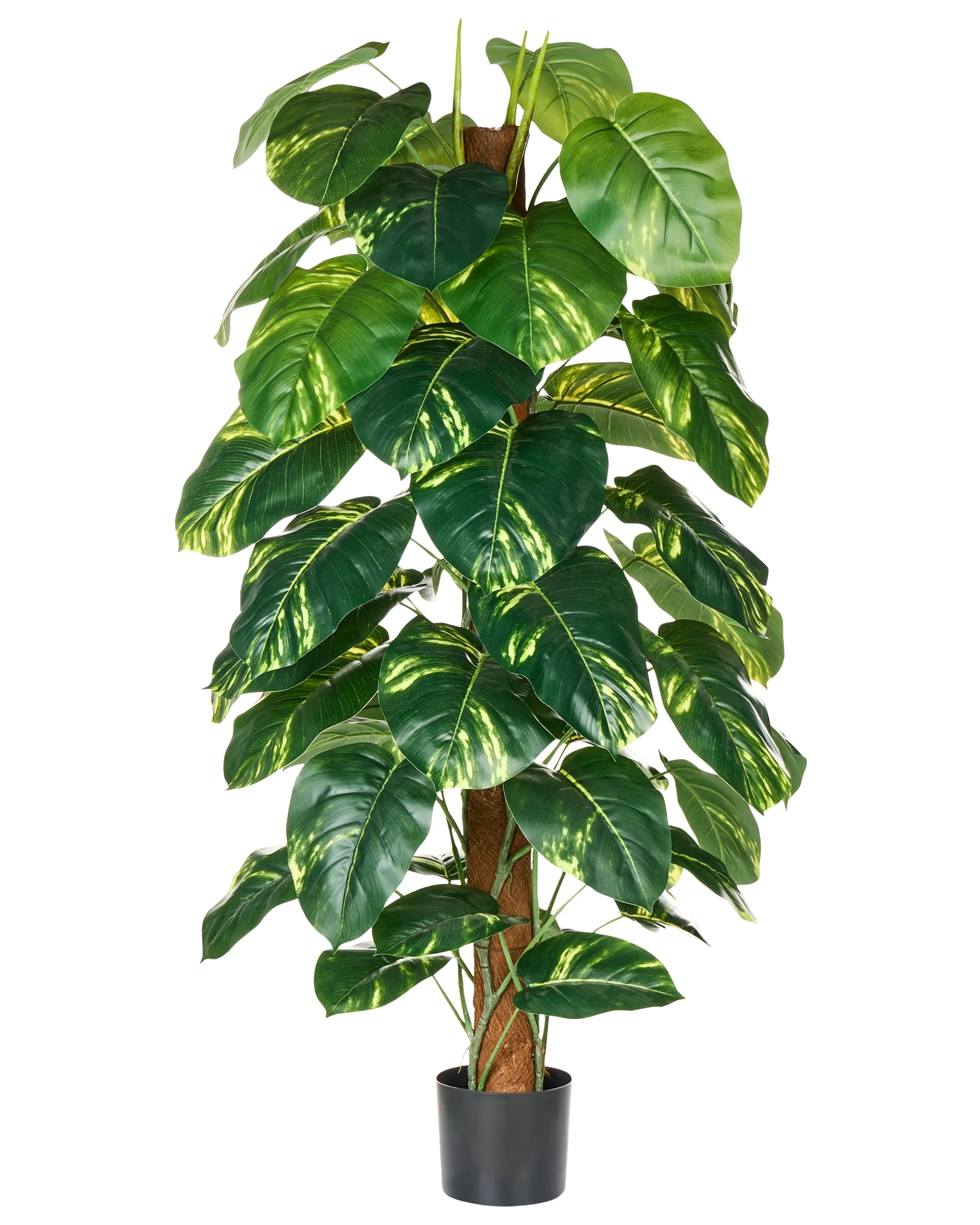 Pianta artificiale DIEFFENBACHIA 152 cm Verde