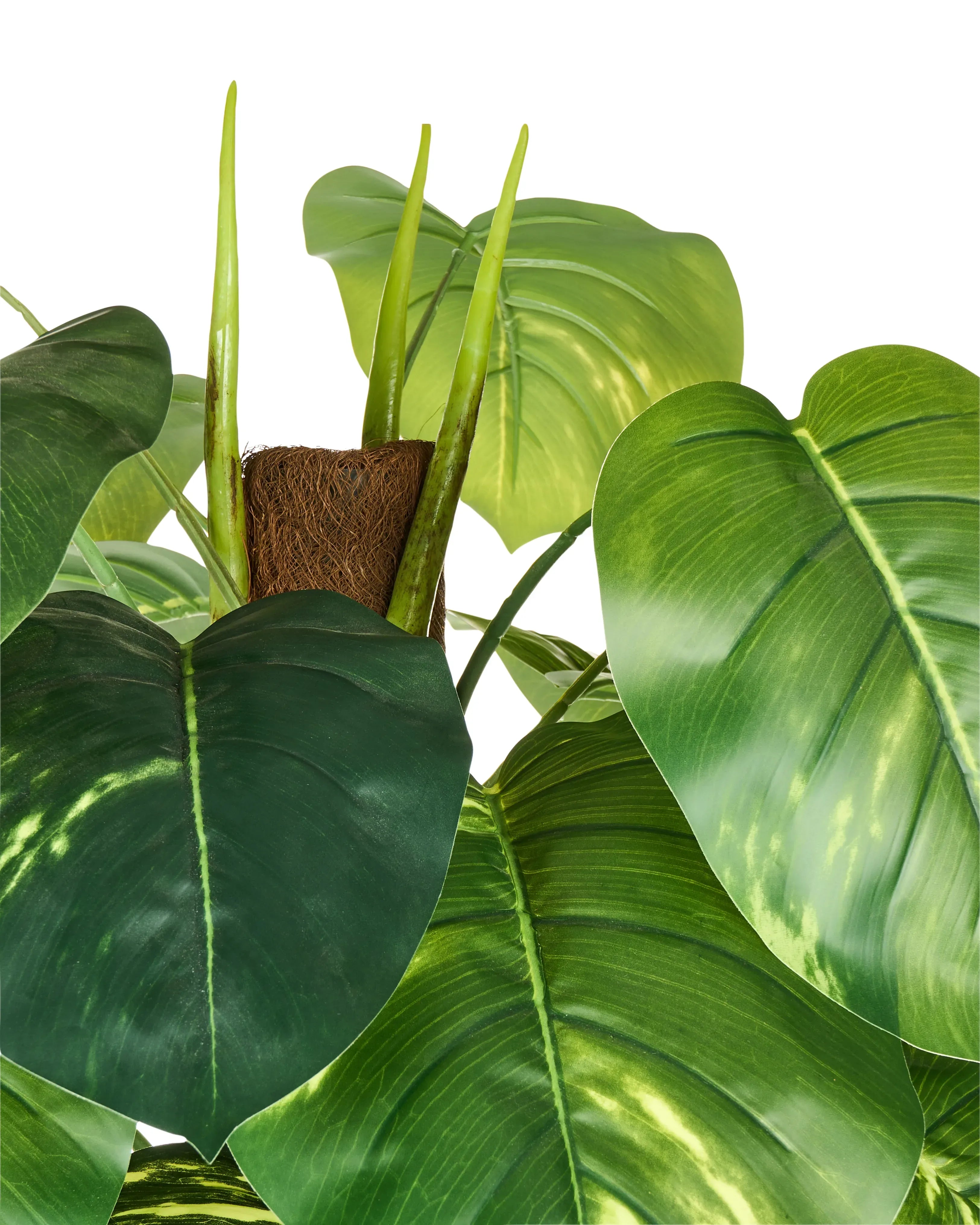 Pianta artificiale DIEFFENBACHIA 152 cm Verde