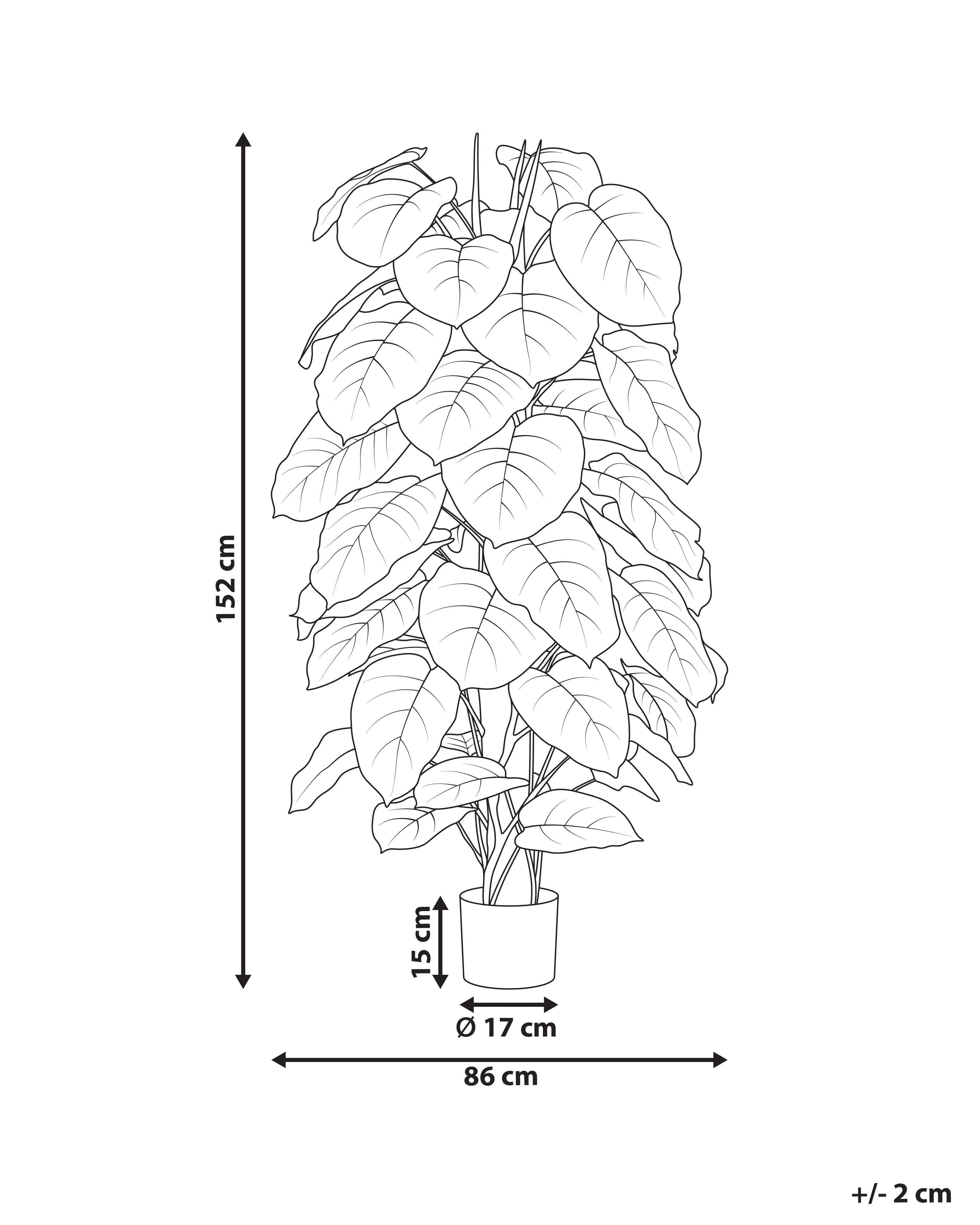 Pianta artificiale DIEFFENBACHIA 152 cm Verde