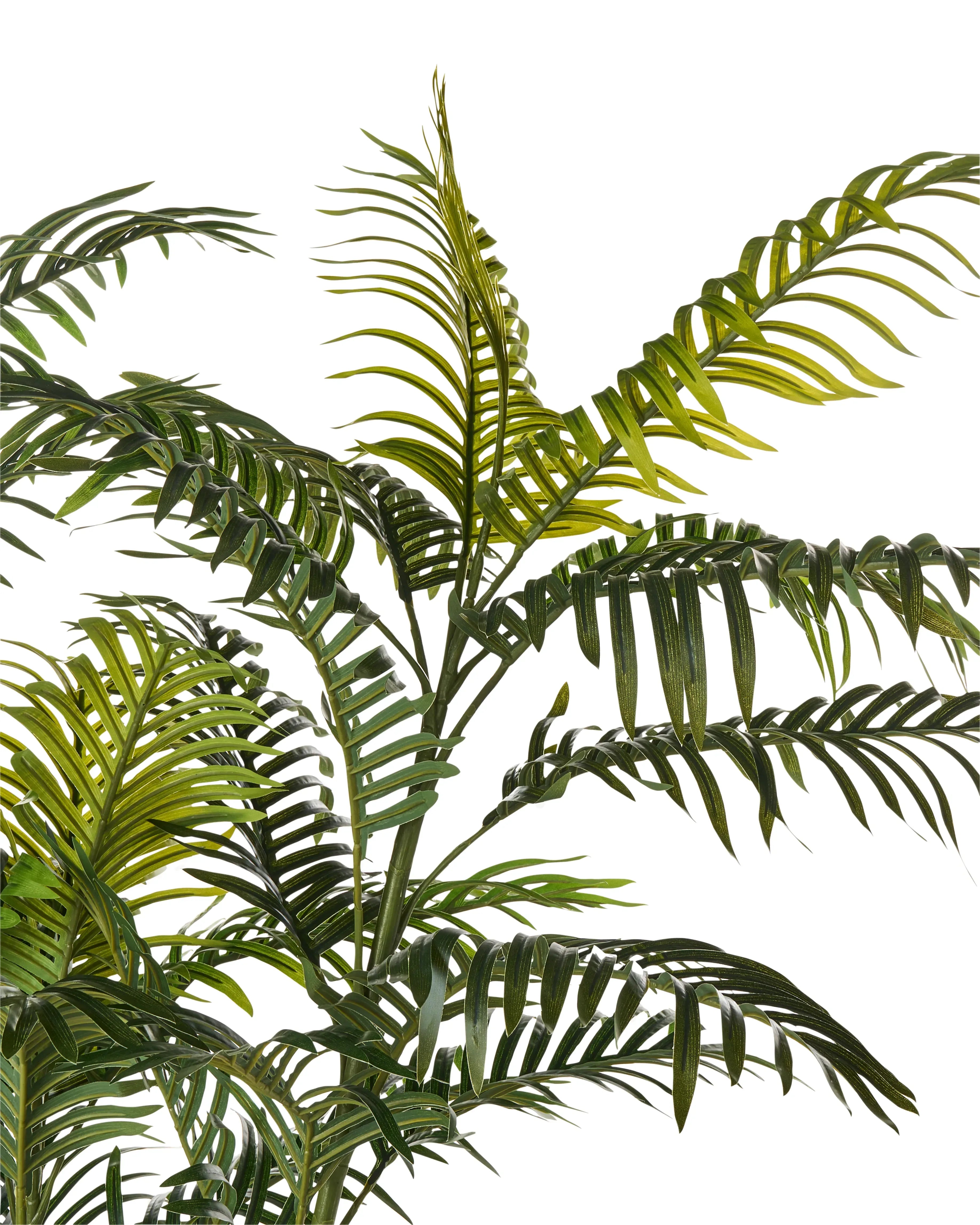 Pianta artificiale PALM TREE 180 cm Verde