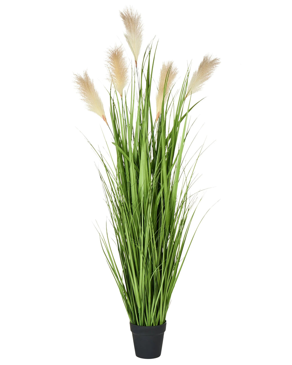 Pianta artificiale PAMPAS GRASS 130 cm Verde