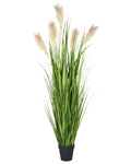 Pianta artificiale PAMPAS GRASS 130 cm Verde