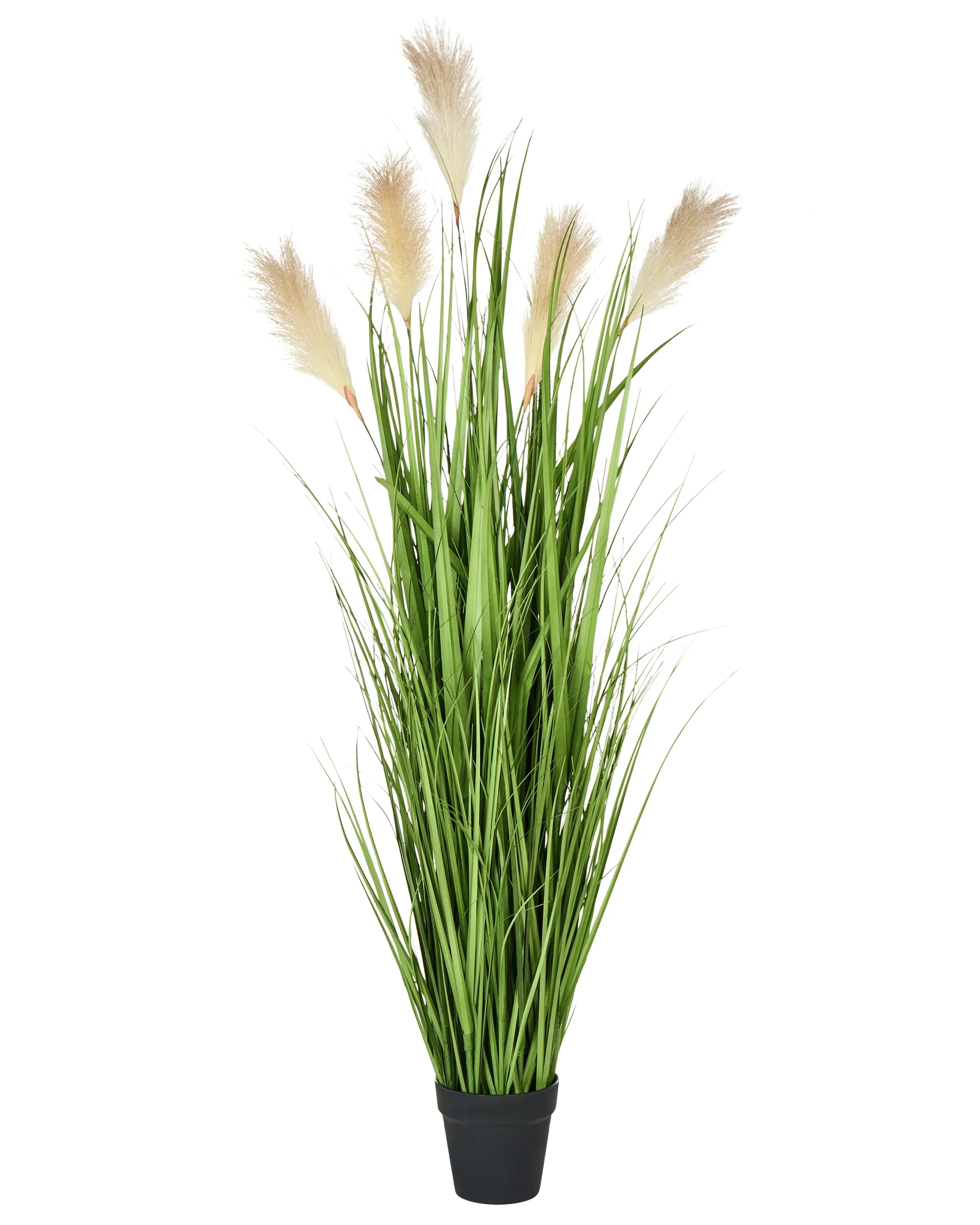 Pianta artificiale PAMPAS GRASS 130 cm Verde