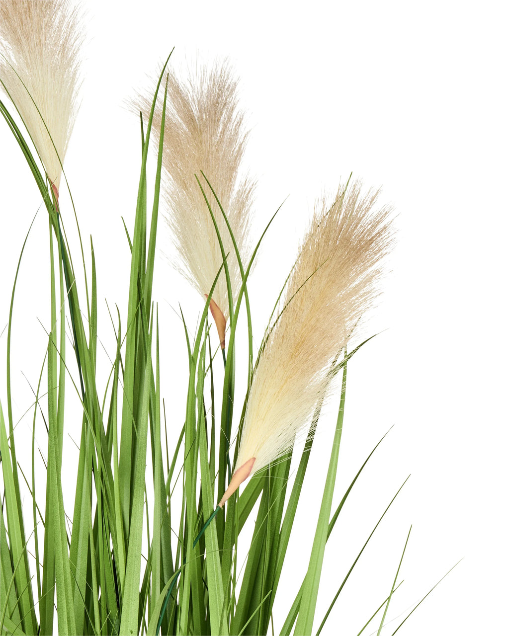 Pianta artificiale PAMPAS GRASS 130 cm Verde