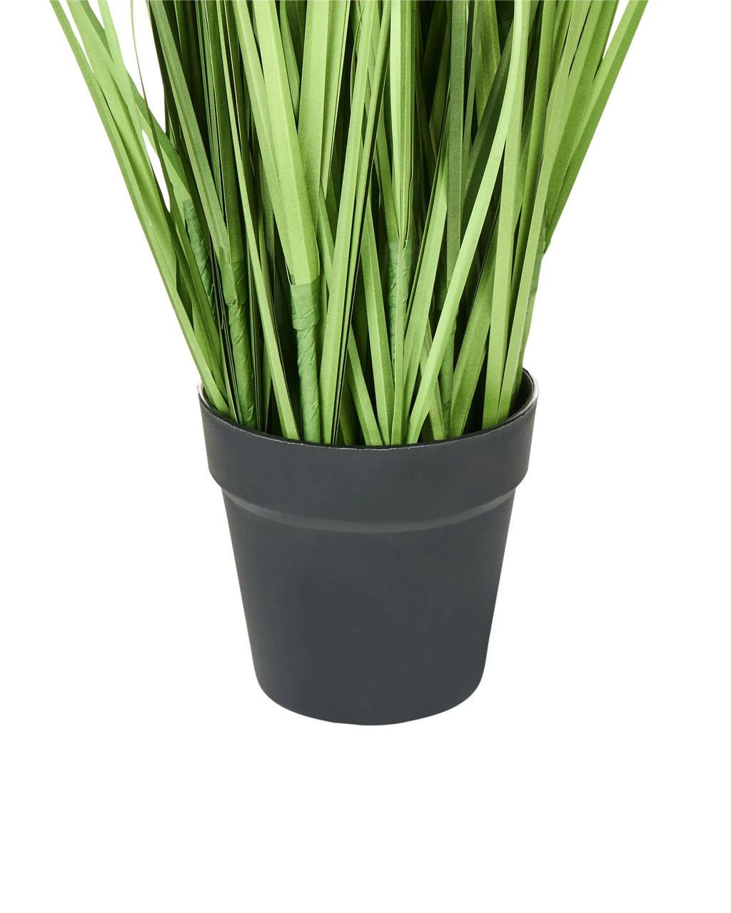 Pianta artificiale PAMPAS GRASS 130 cm Verde