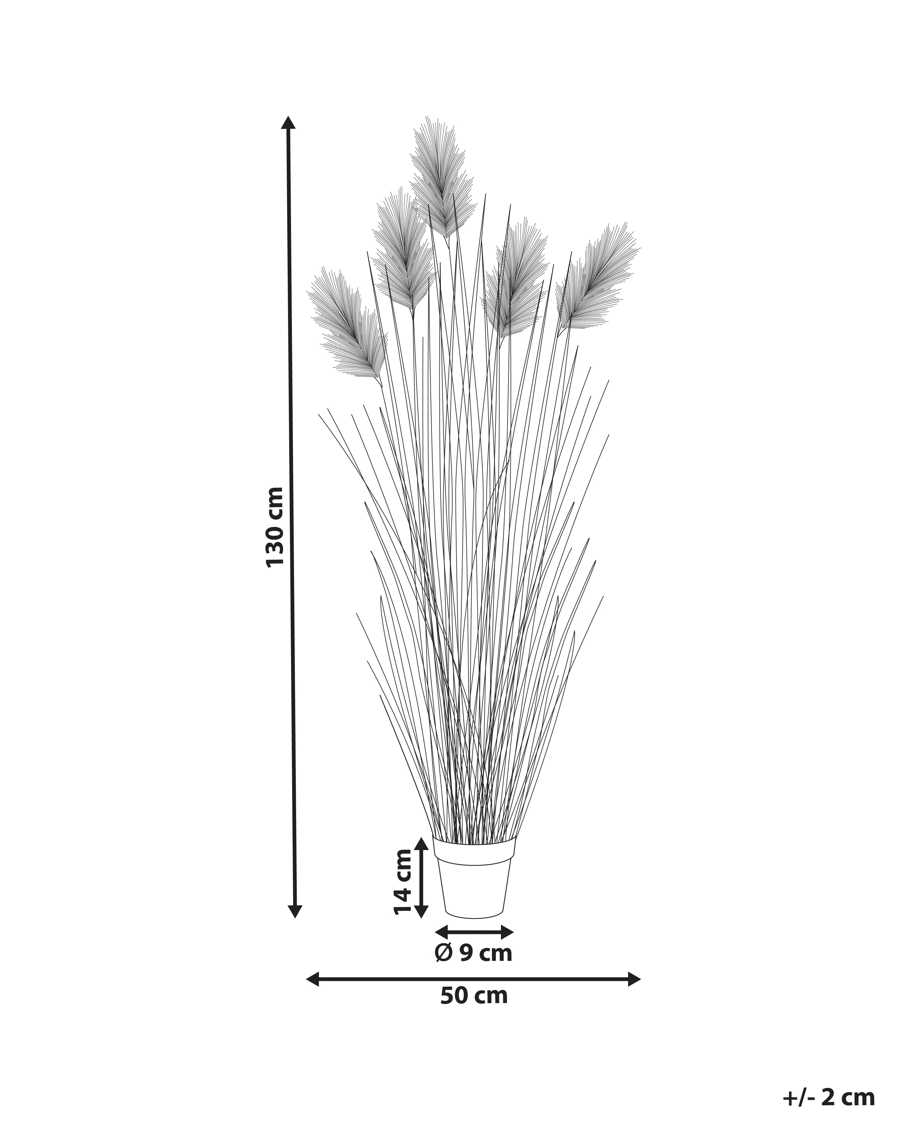 Pianta artificiale PAMPAS GRASS 130 cm Verde