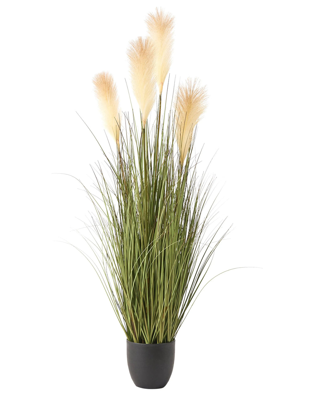 Pianta artificiale PAMPAS GRASS 120 cm Verde