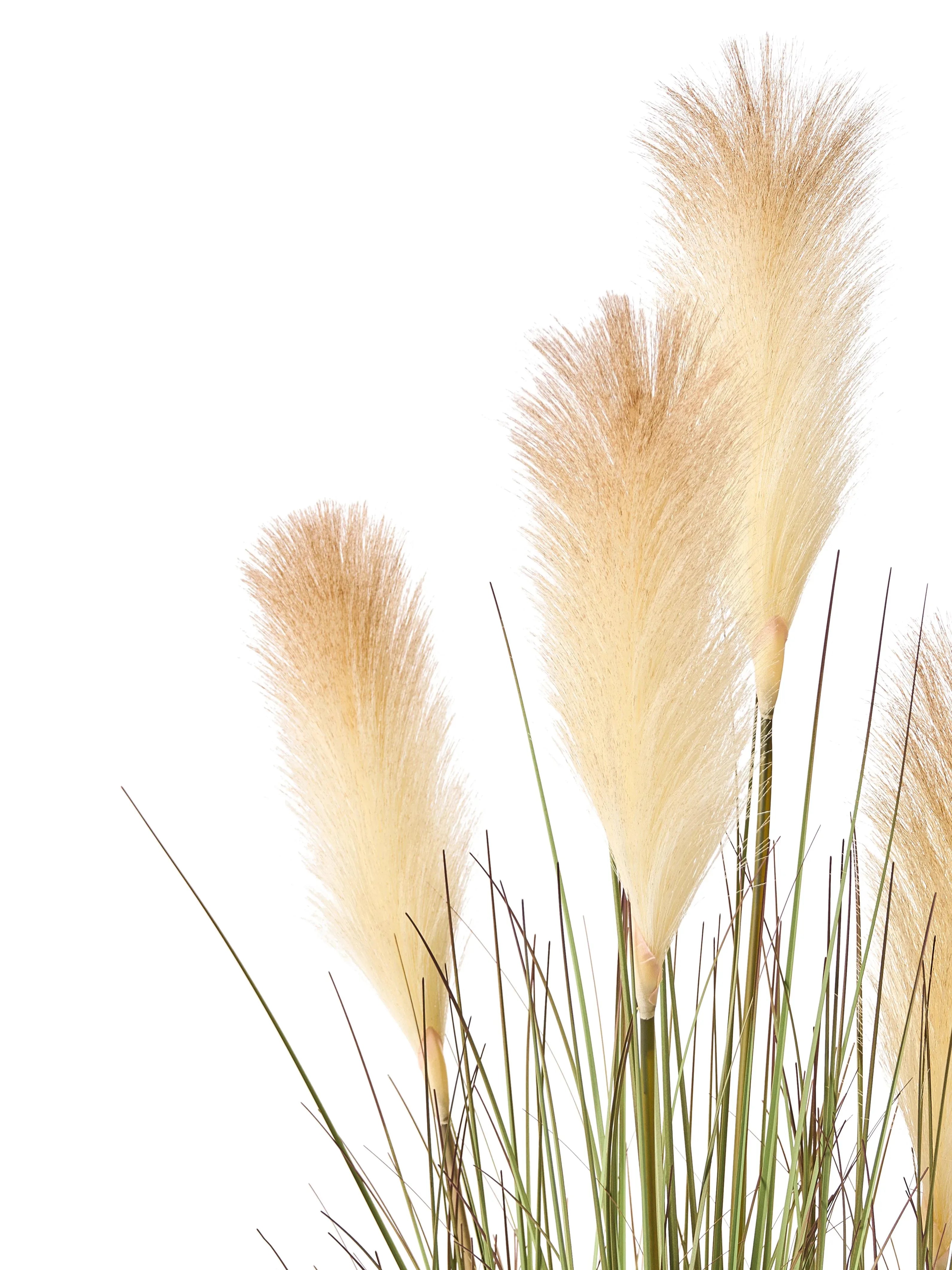Pianta artificiale PAMPAS GRASS 120 cm Verde