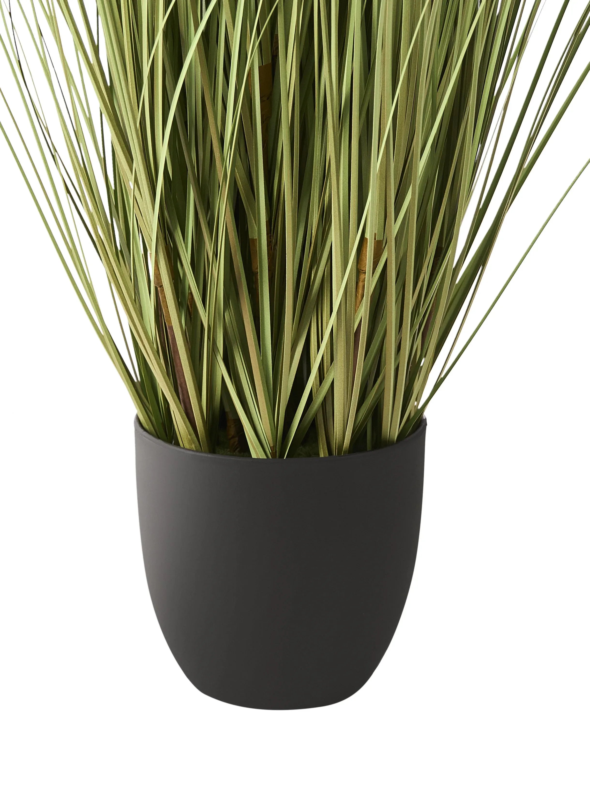 Pianta artificiale PAMPAS GRASS 120 cm Verde