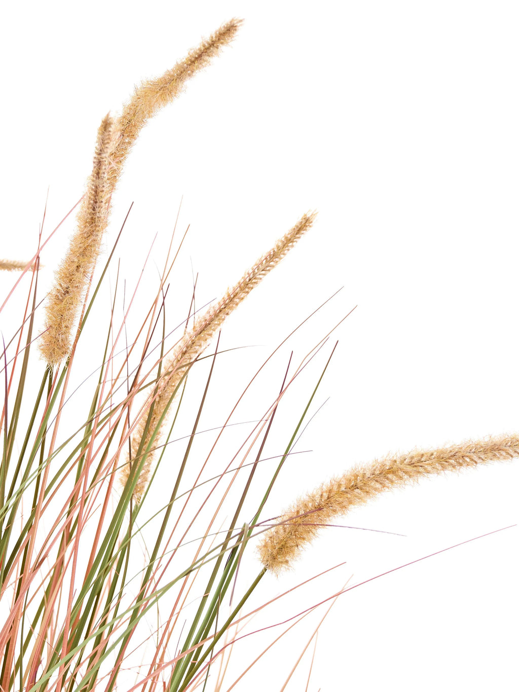 Pianta artificiale BRISTLEGRASS 120 cm Arancione