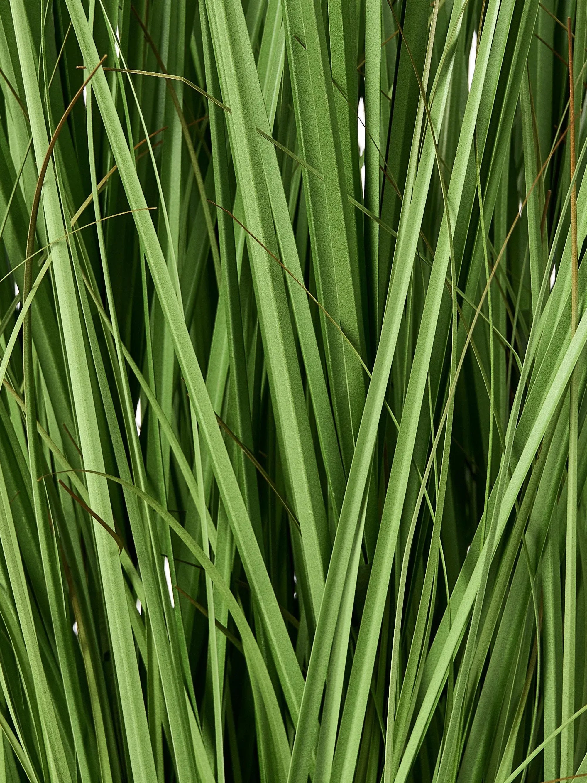 Pianta artificiale GRASS 120 cm Verde