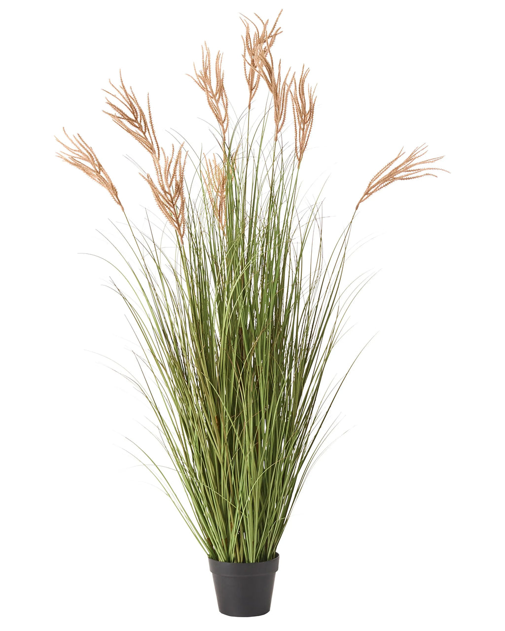 Pianta artificiale CLAW FLOWER 150 cm Verde
