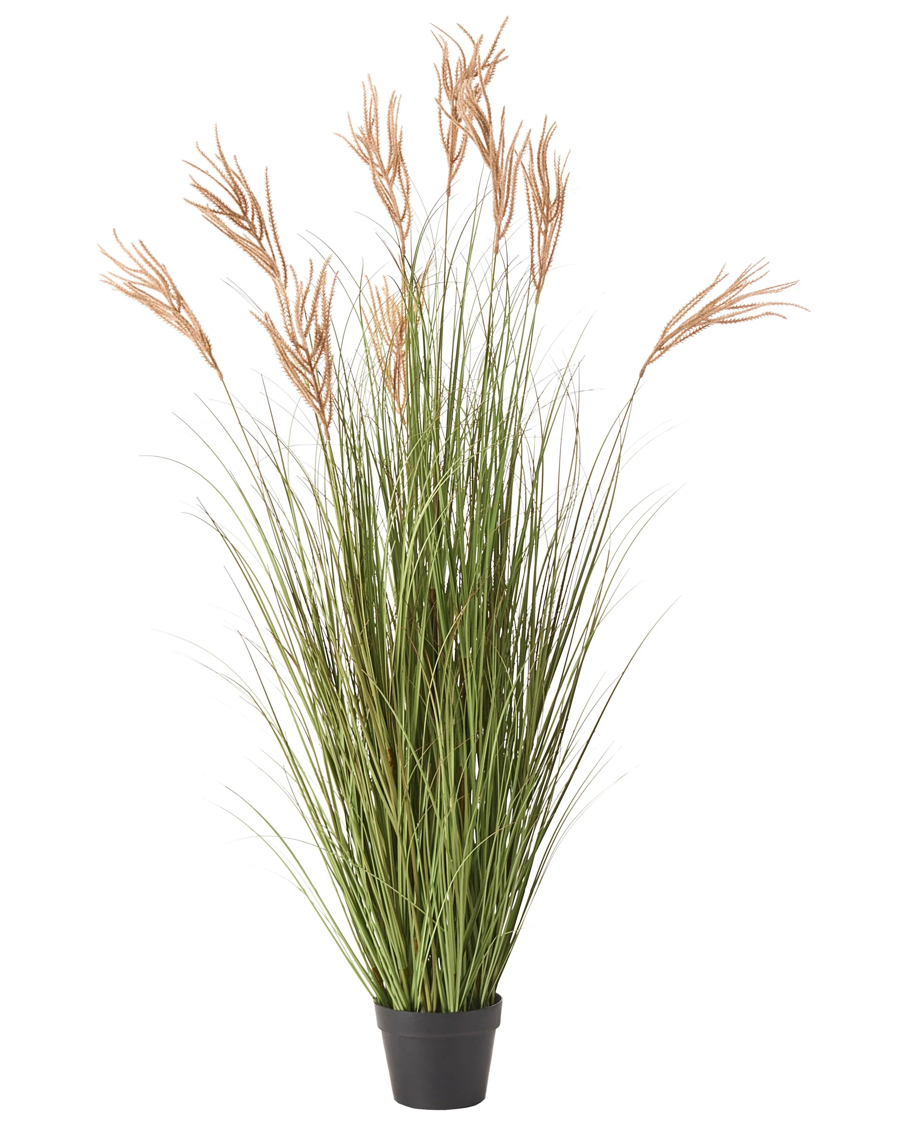 Pianta artificiale CLAW FLOWER 150 cm Verde