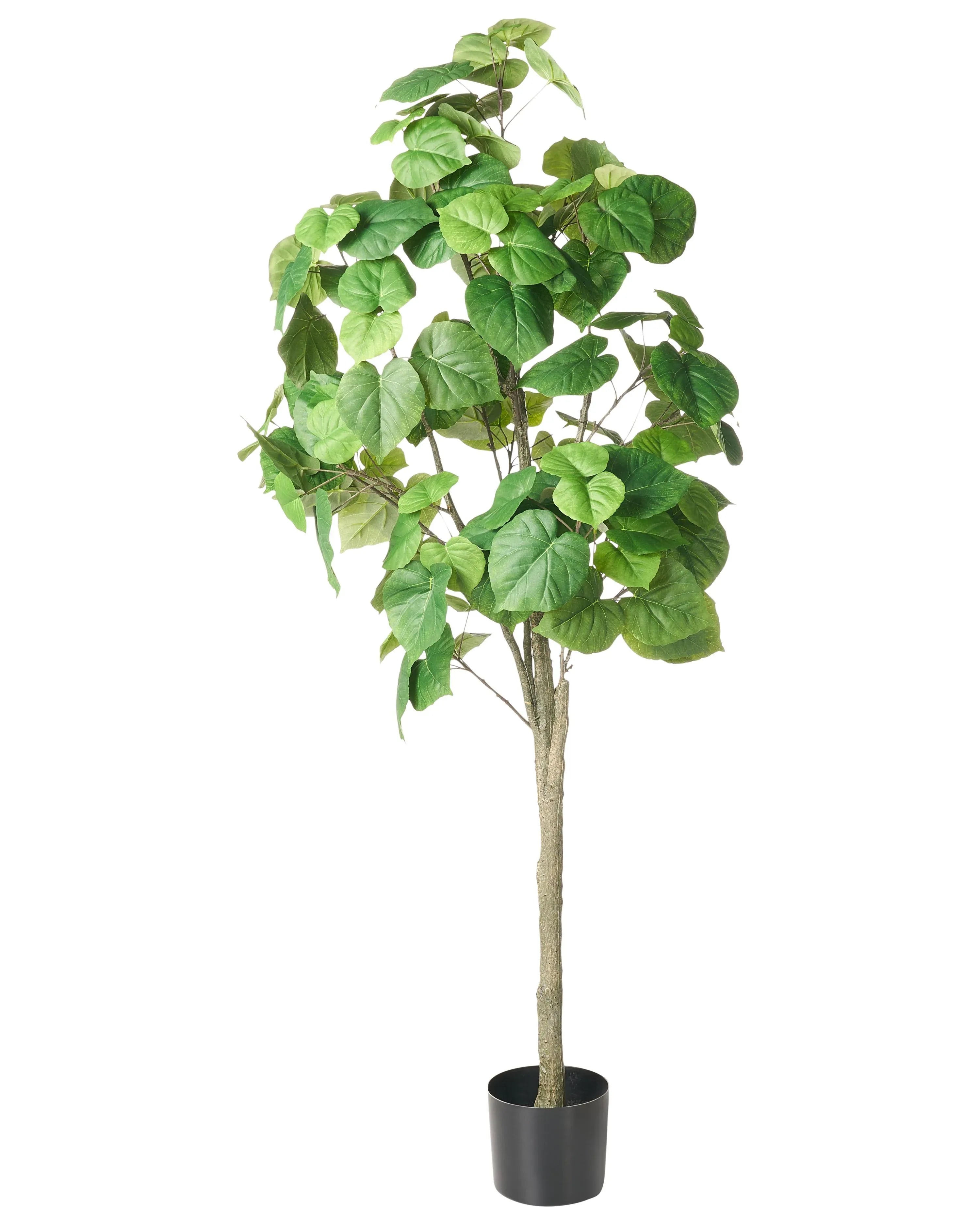Pianta artificiale FICUS TREE 160 cm Verde
