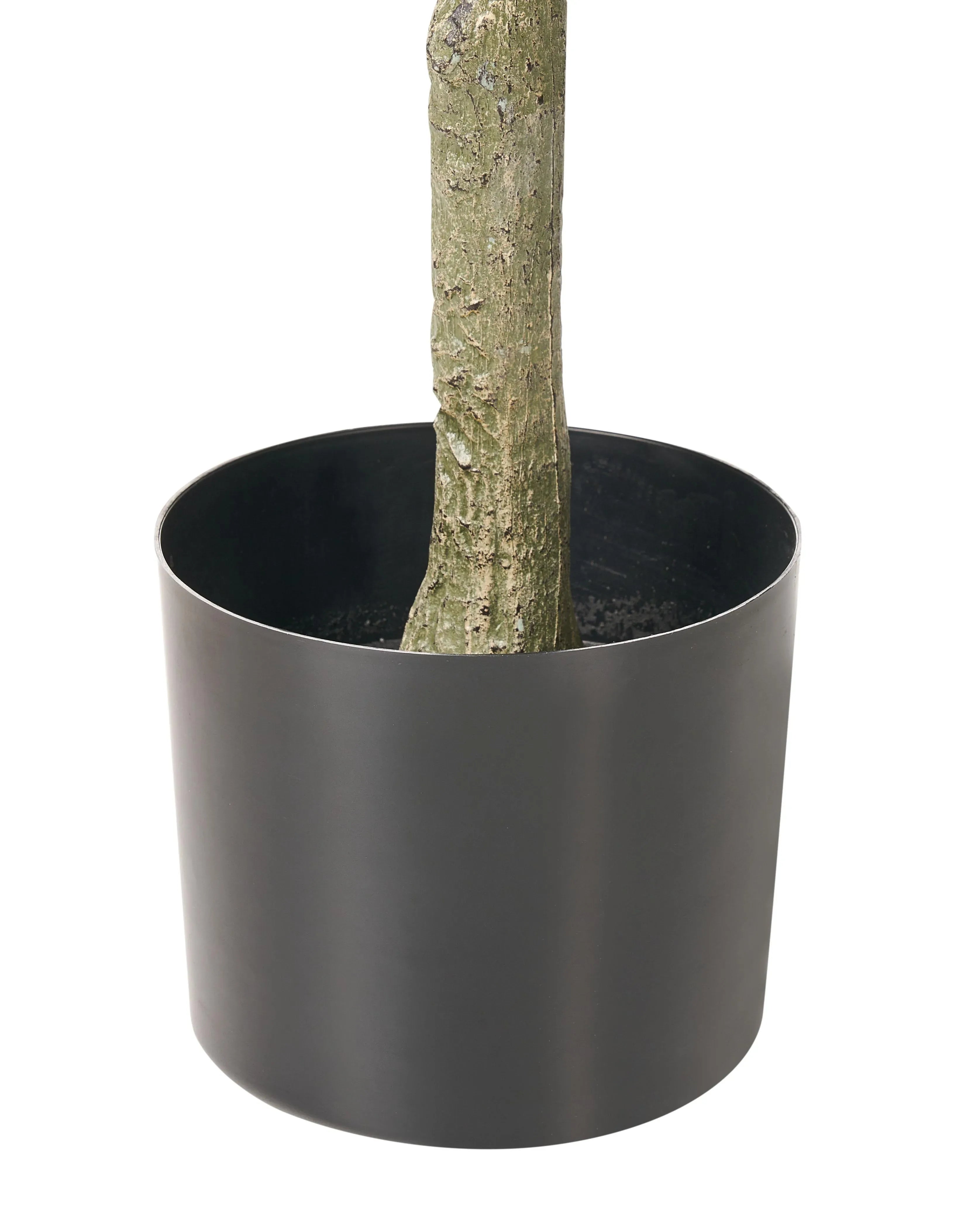 Pianta artificiale FICUS TREE 160 cm Verde