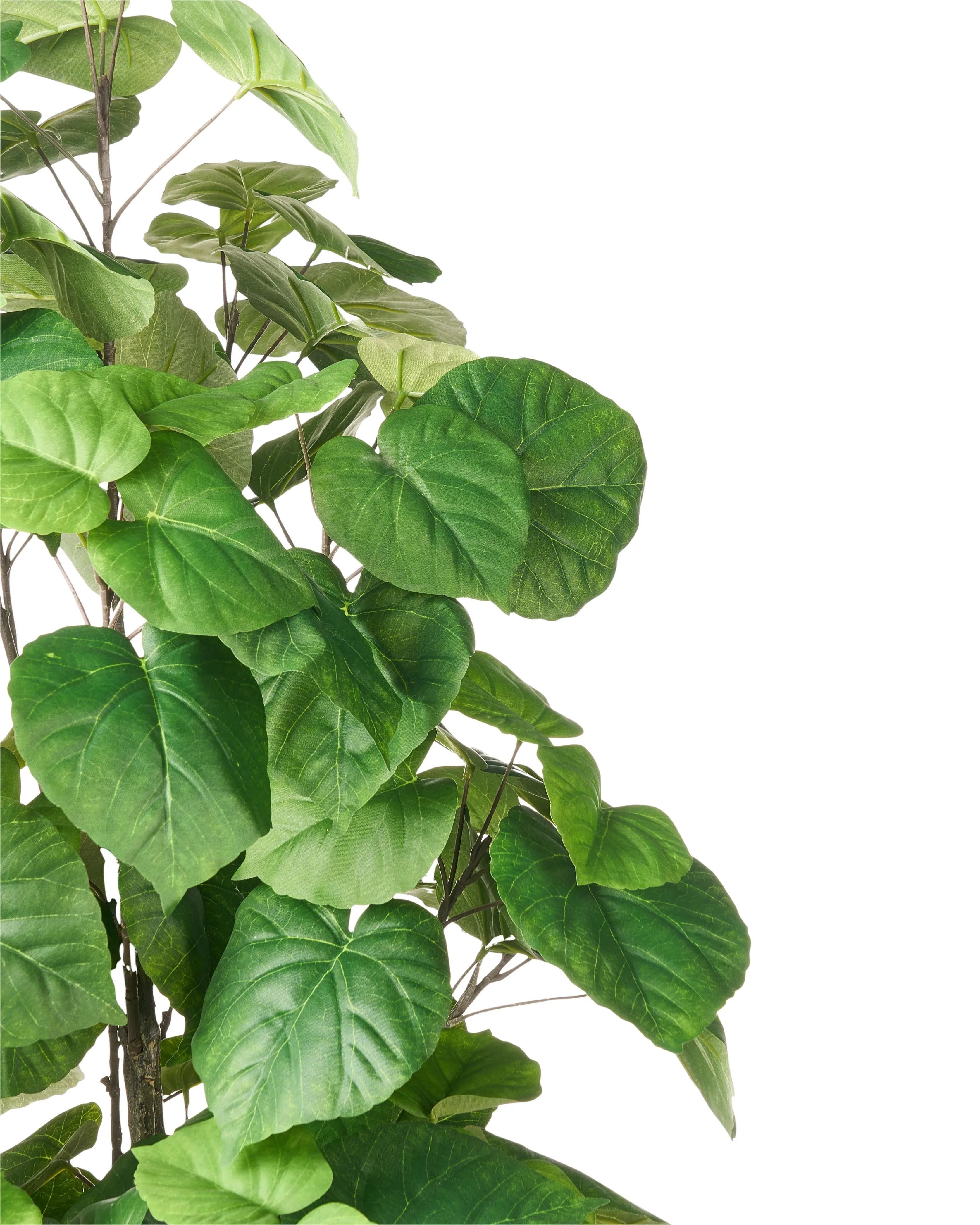 Pianta artificiale FICUS TREE 160 cm Verde