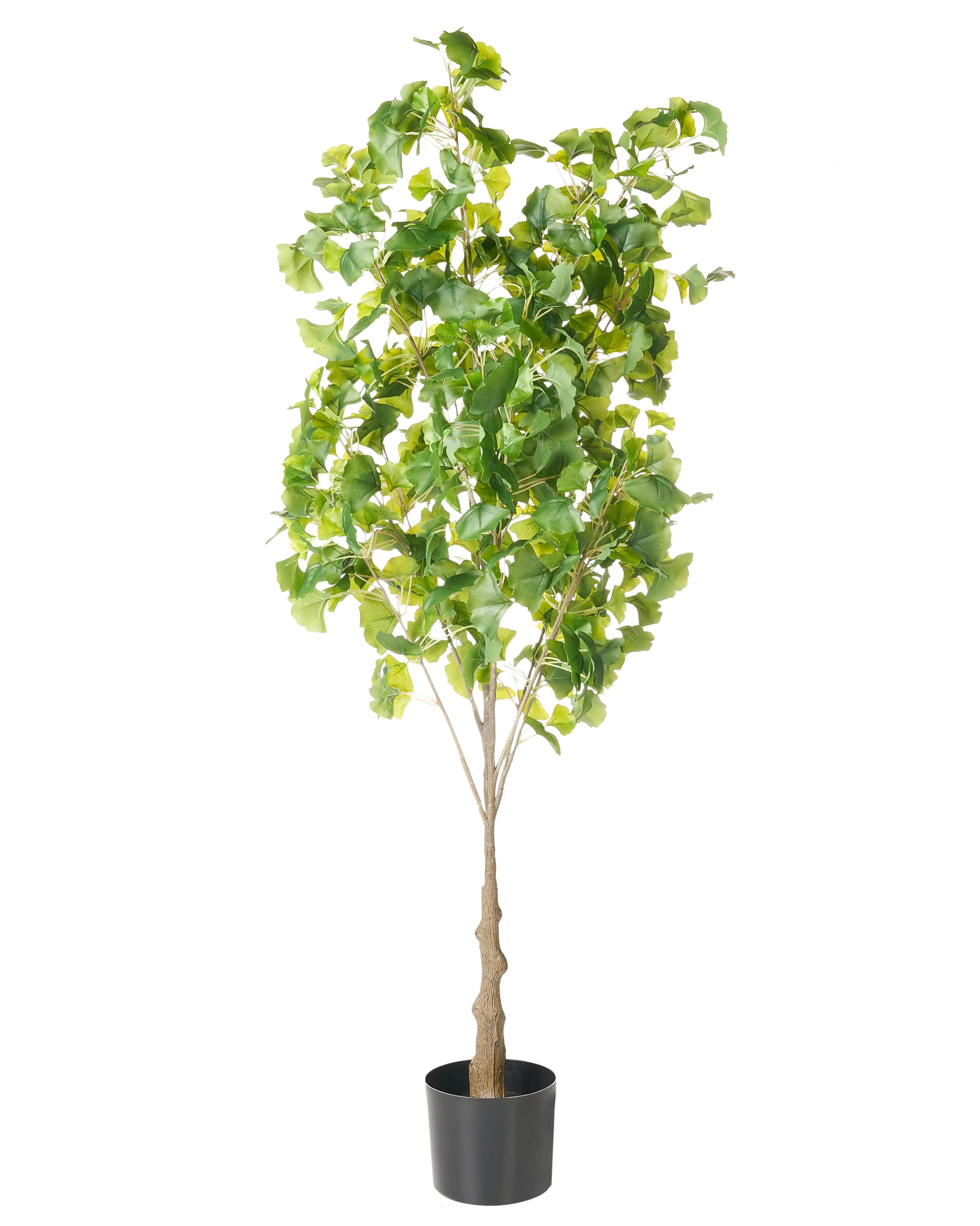 Pianta artificiale GINKGO TREE 150 cm Verde