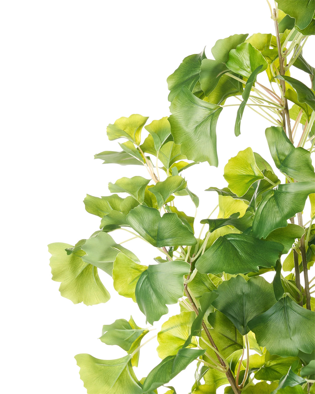 Pianta artificiale GINKGO TREE 150 cm Verde