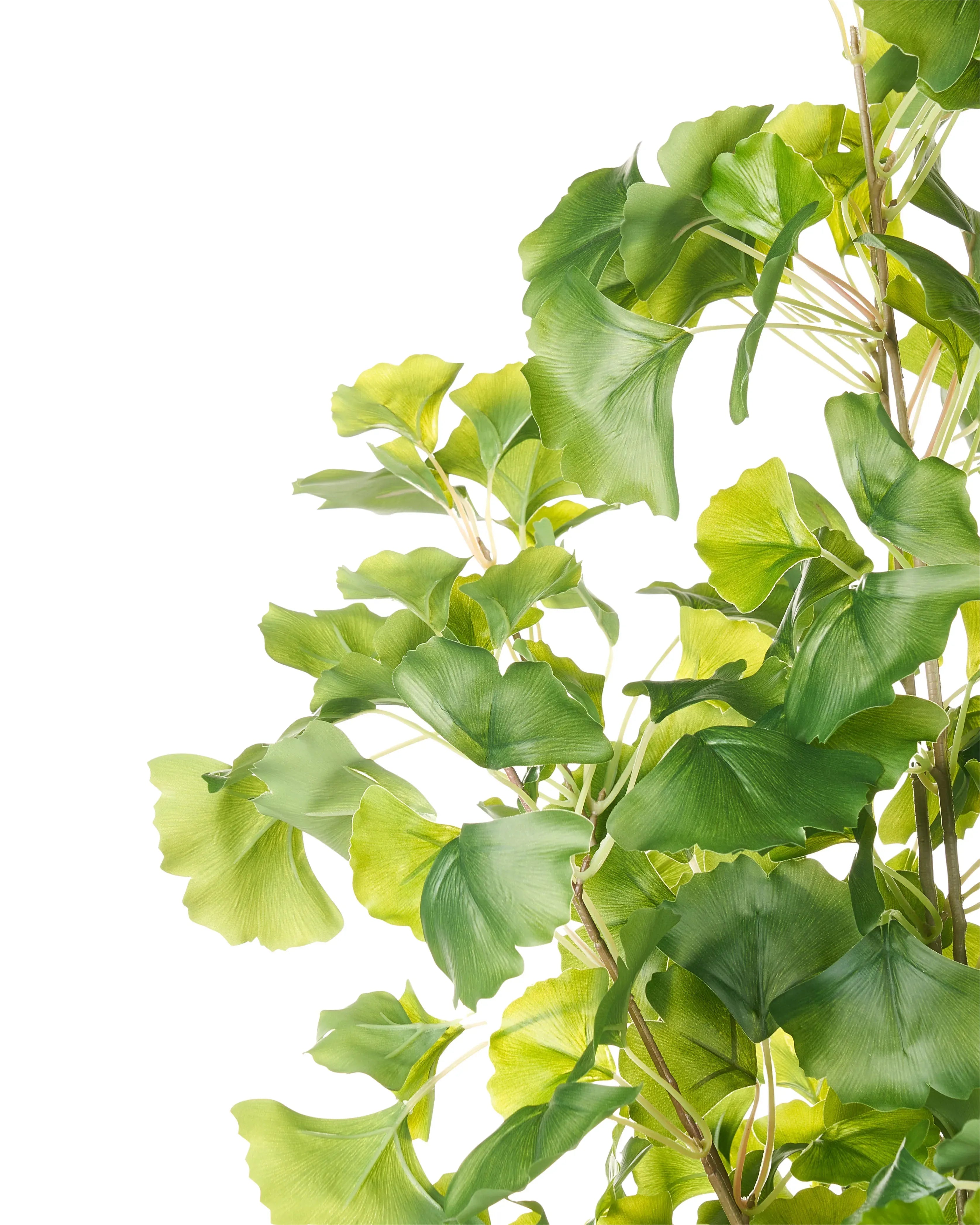 Pianta artificiale GINKGO TREE 150 cm Verde