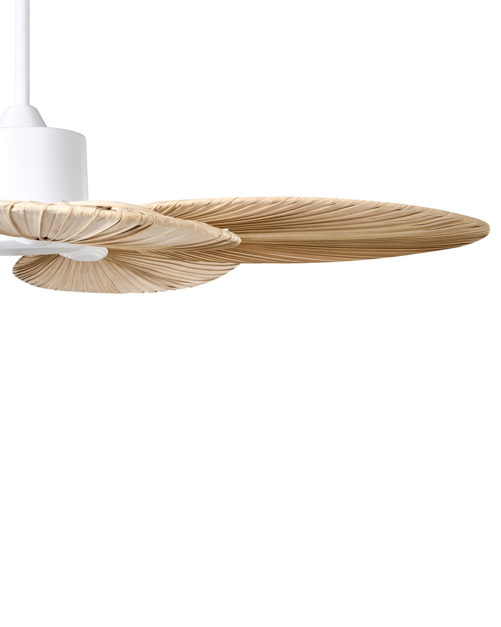 Ventilatore a soffitto MAMMOTH Naturale